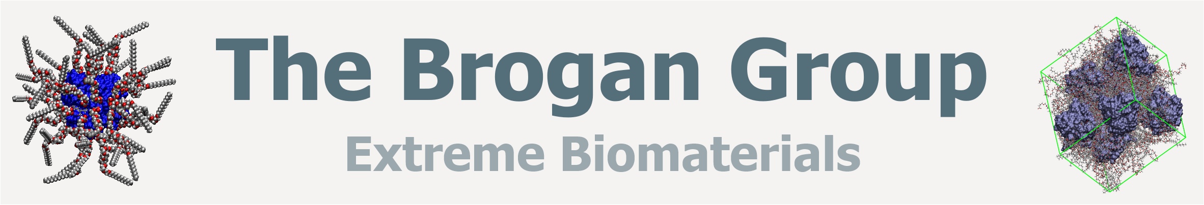 The Brogan Group